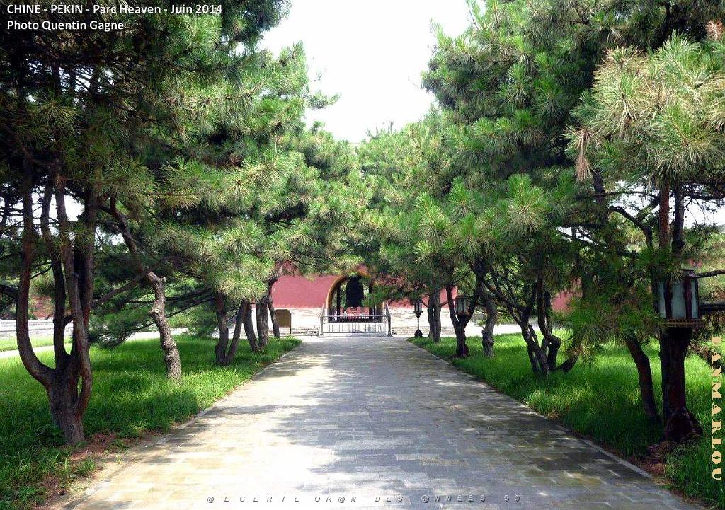 098- Pekin Heaven.JPG